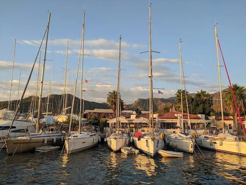 Albatros Marina