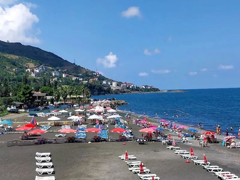 Albatros Plajı