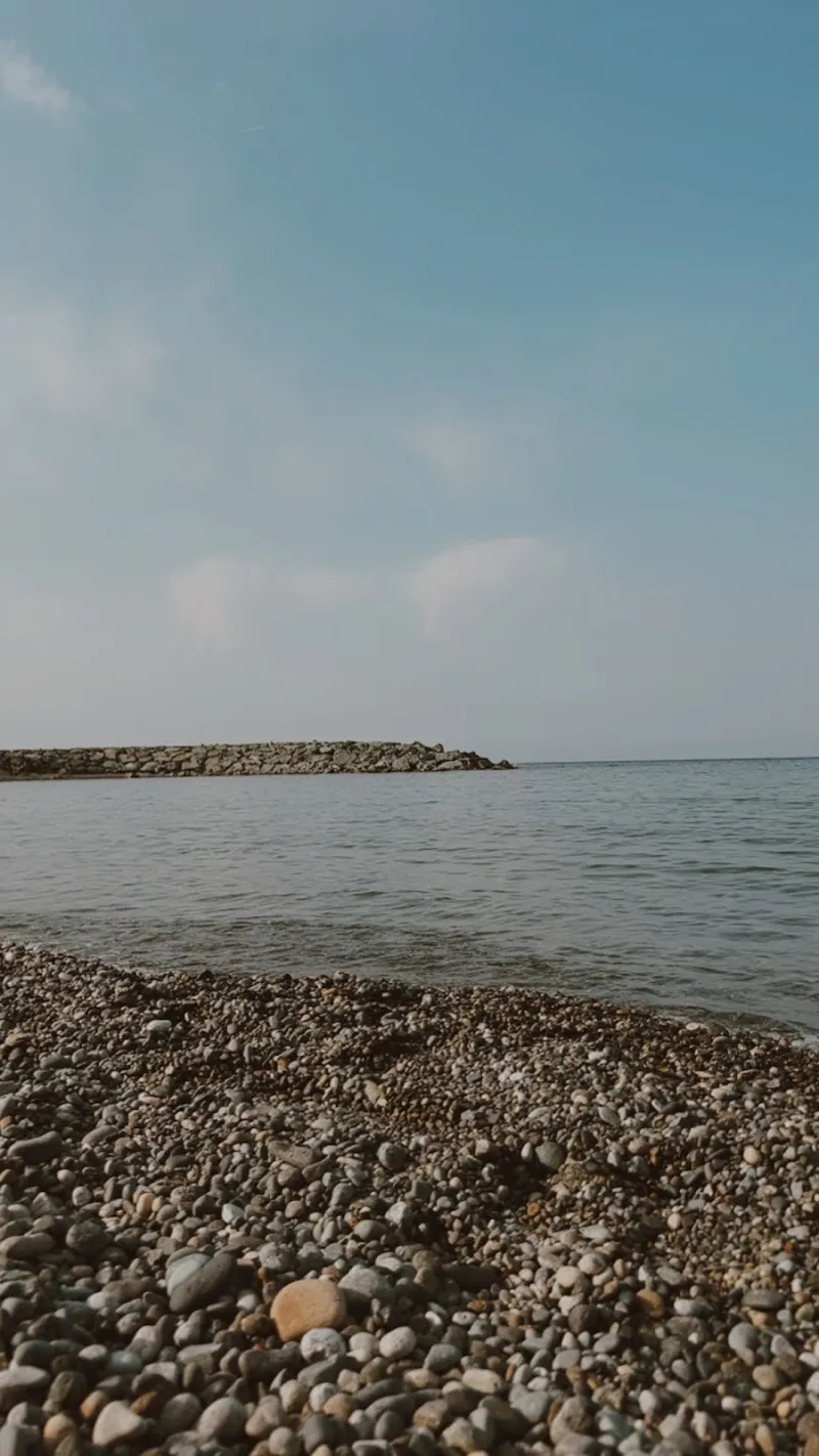 ALİPAŞA ÇEKEK YERİ 1 Deniz Suyu Sıcaklığı