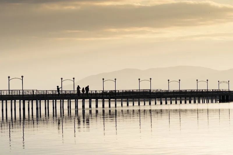 Altınova İskelesi Deniz Suyu Sıcaklığı