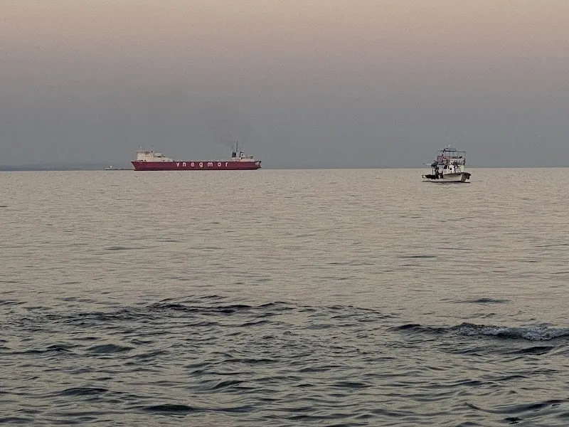 Altınova Sahili