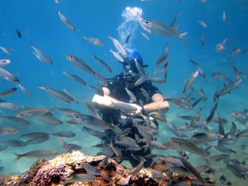 Antalya Dalış Scuba Diving Deniz Suyu Sıcaklığı