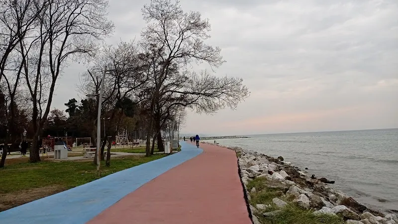 Araştırma Sahili Plajı Deniz Suyu Sıcaklığı