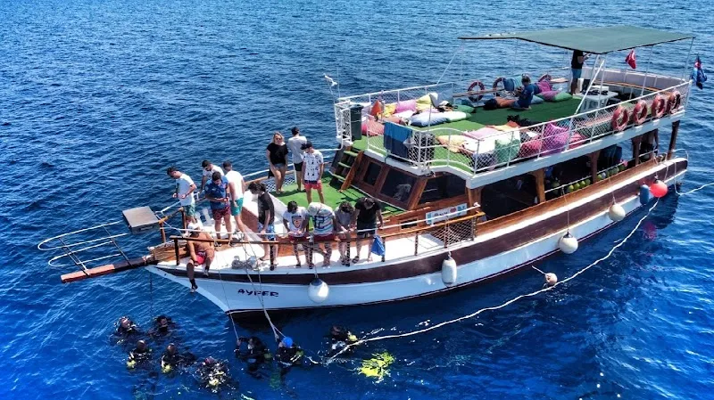 Ayvalık 3 sea dalış merkezi Deniz Suyu Sıcaklığı