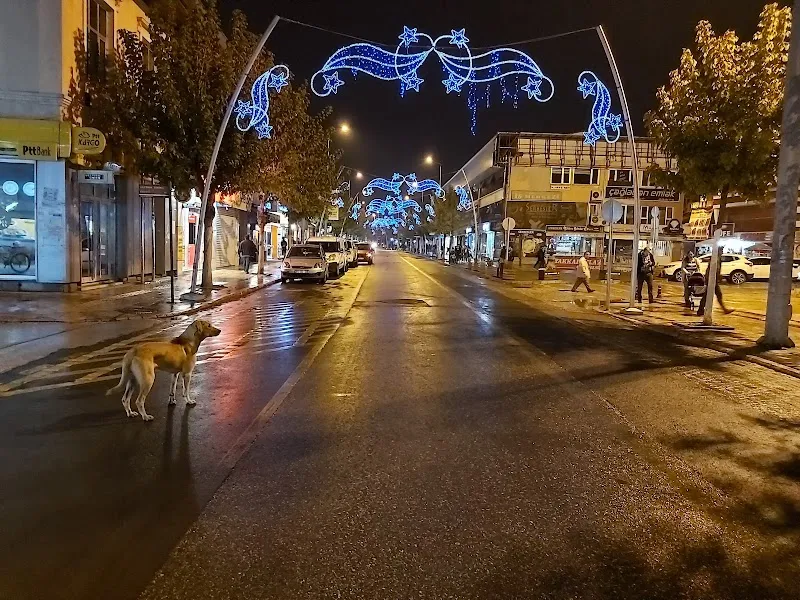 Beşiktaşlılar Derneği Deniz Suyu Sıcaklığı