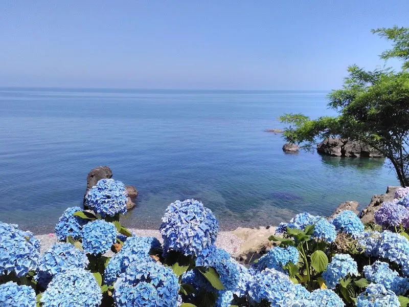 Bodimeli Beach and Tea Garden