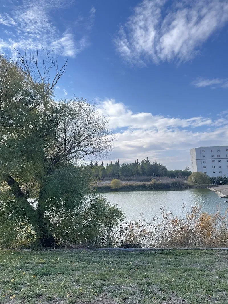 Çağış Plajı