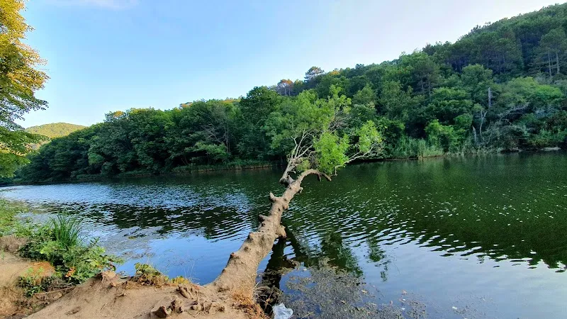 Çamlıköy Tabiat Parkı