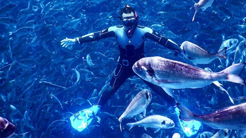 Chalki Dive Centre Deniz Suyu Sıcaklığı