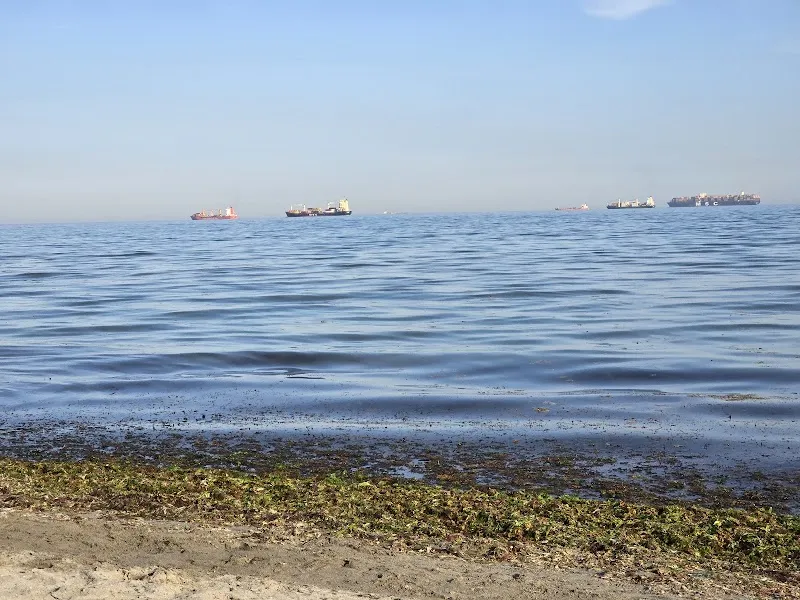 Değirmenaltı Halk Plajı Deniz Suyu Sıcaklığı