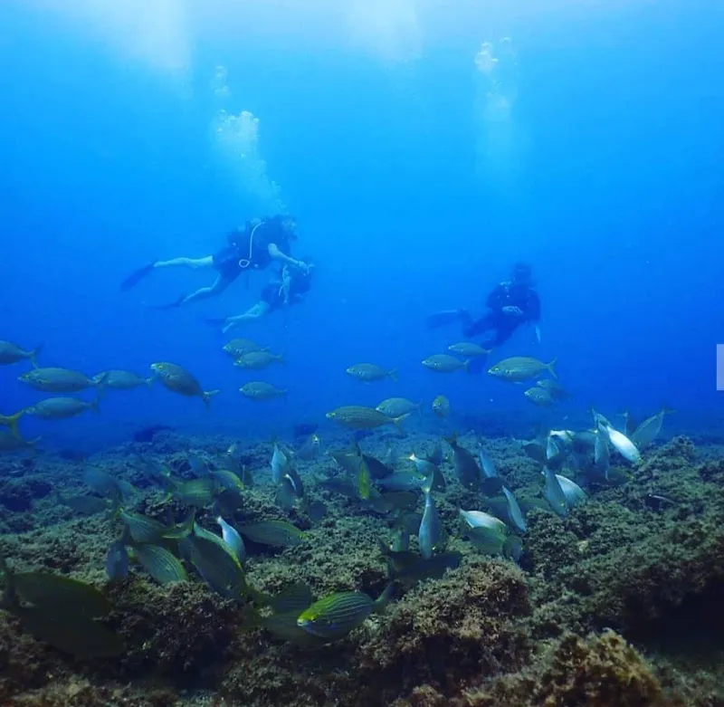 Didim Milet Diving Center