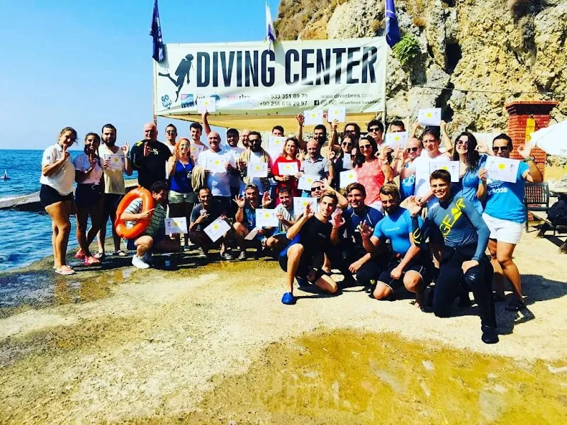 Diver Bees Dive Center - Kuşadası Dalış Merkezi Turkiye Deniz Suyu Sıcaklığı