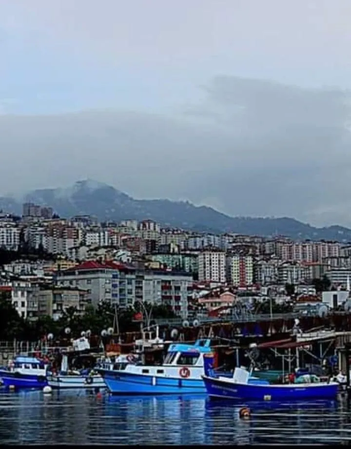 ENGİN DALIŞ VE CAN KURTARMA MERKEZİ - TRABZON Deniz Suyu Sıcaklığı