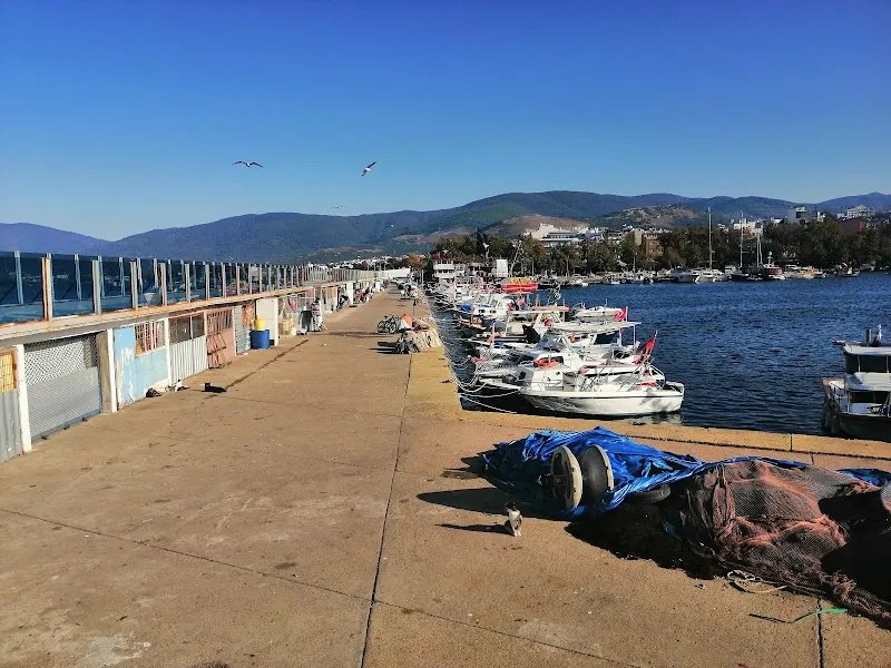 Erdek Dalış Kulübü Deniz Suyu Sıcaklığı