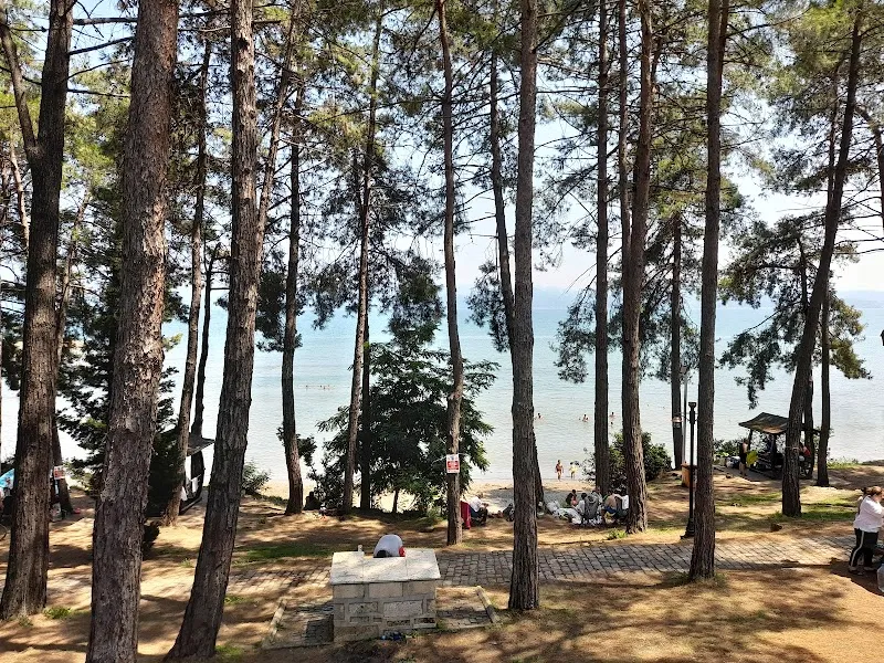 Fatsa Çamlık Halk Plajı Deniz Suyu Sıcaklığı