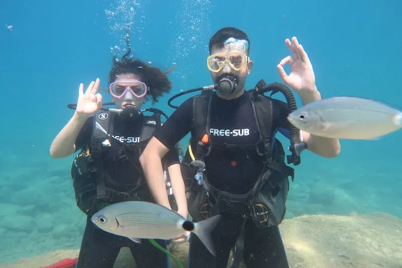 Fethiye Tüplü Dalış Deniz Suyu Sıcaklığı