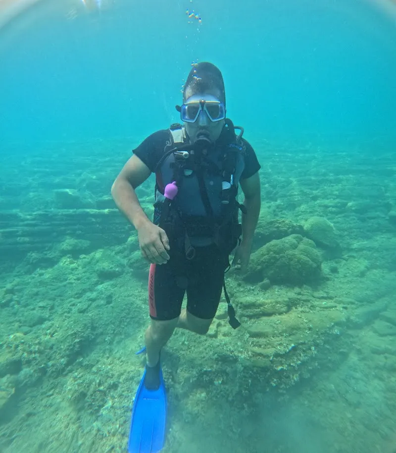 Foca Dive Center Deniz Suyu Sıcaklığı