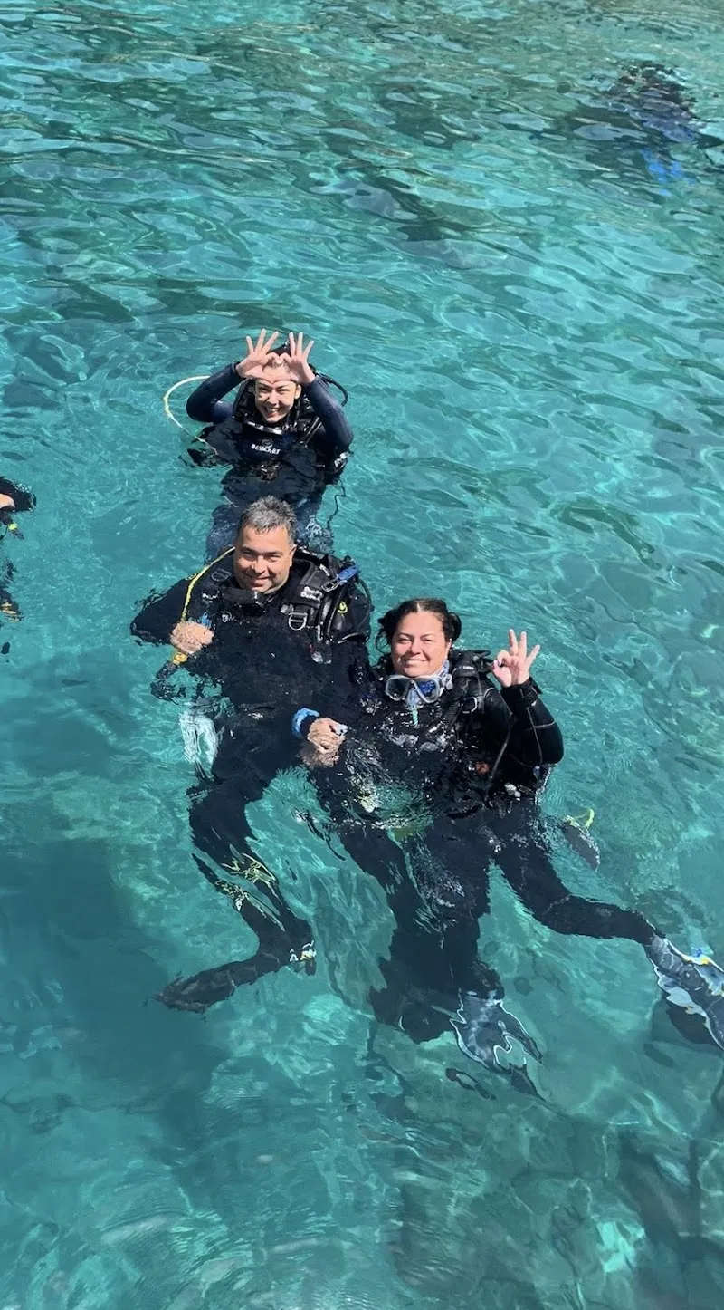 Guru Dive Dalış Eğitim Merkezi Deniz Suyu Sıcaklığı