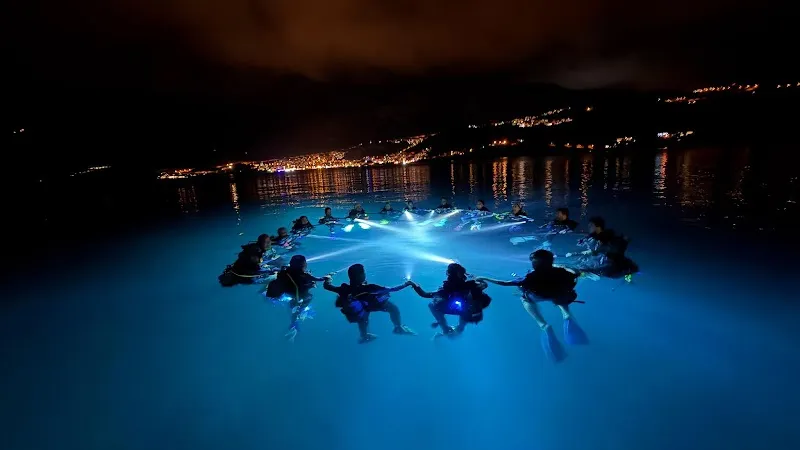 GURU DIVE EĞİTİM ARAŞTIRMA DALIŞ MERKEZİ Deniz Suyu Sıcaklığı