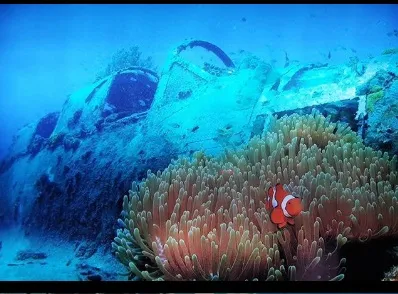 H2O SCUBA Deniz Suyu Sıcaklığı