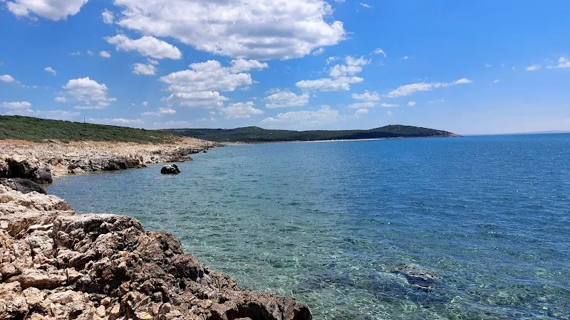 İtalyan Koyu