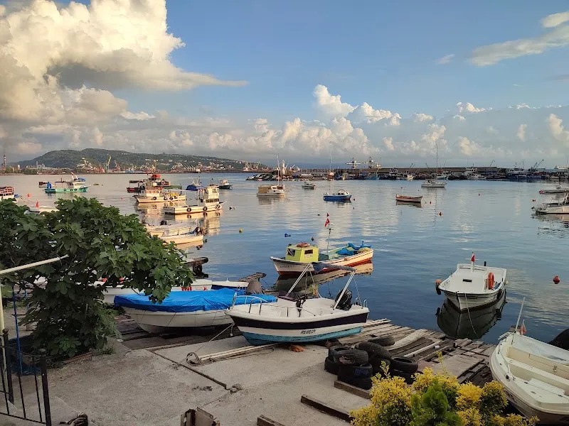 Kdz. Ereğli Marina Deniz Suyu Sıcaklığı