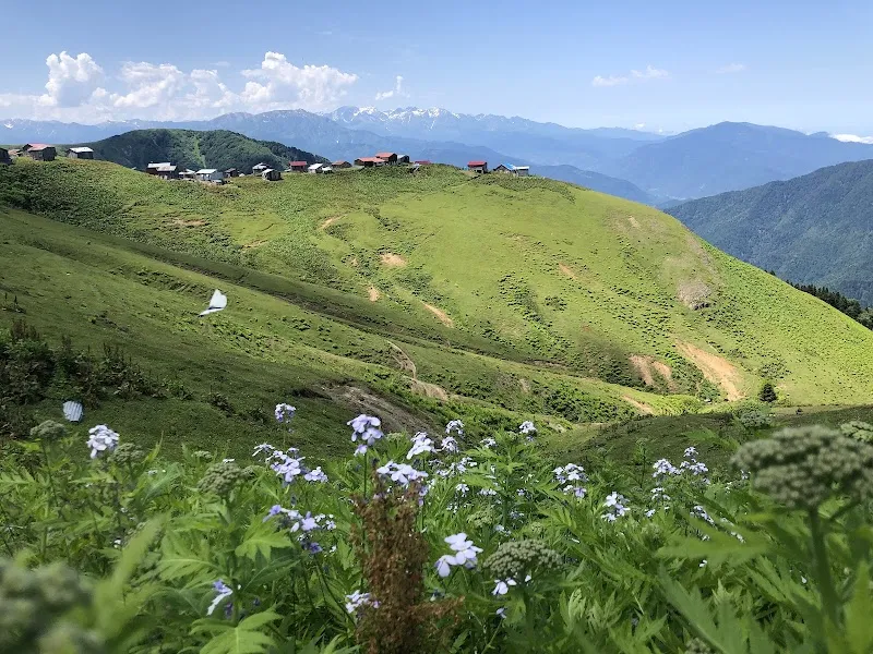 Klaskur yaylası Deniz Suyu Sıcaklığı