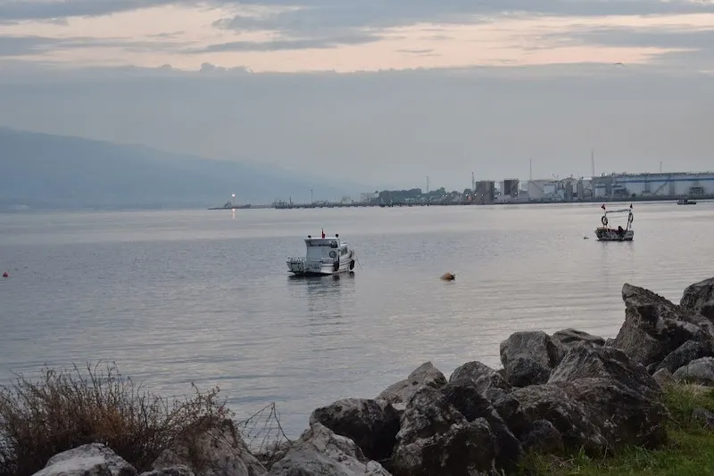 Kocaeli Büyükşehir Belediyesi Plaj Yolu Sahili Deniz Suyu Sıcaklığı