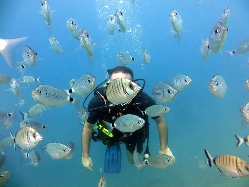 Kos Divers - Padi 5* scuba diving center