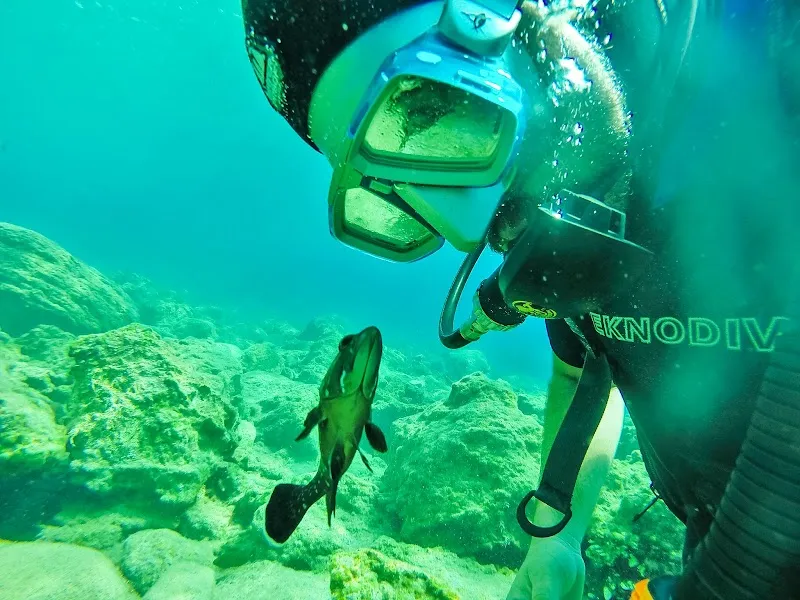Kos Diving - Arian Diving Centre