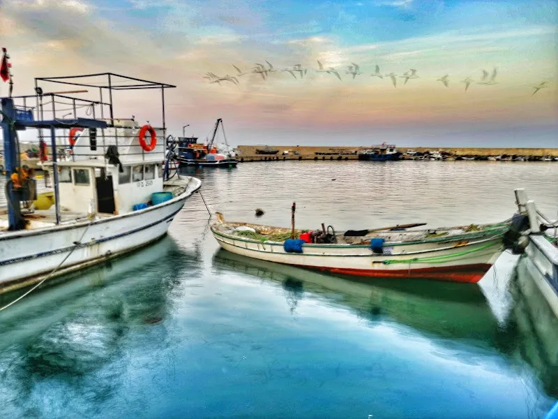 Kumbağ Limanı Deniz Suyu Sıcaklığı