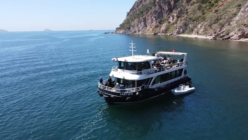 Lazy Seal Dalış Merkezi Deniz Suyu Sıcaklığı