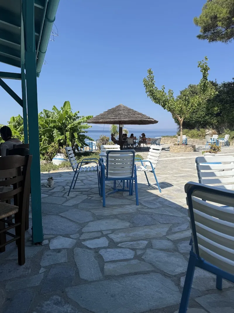 Lemonakia Restaurant Deniz Suyu Sıcaklığı
