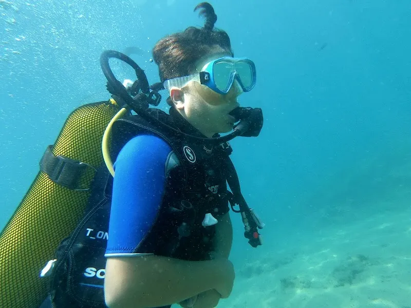 like diving academy Deniz Suyu Sıcaklığı