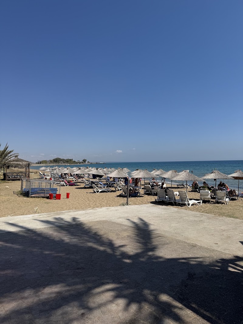 Long Beach Deniz Suyu Sıcaklığı