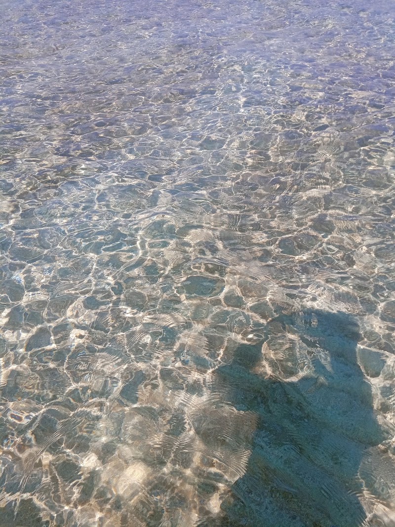 Maraş Plajı Deniz Suyu Sıcaklığı