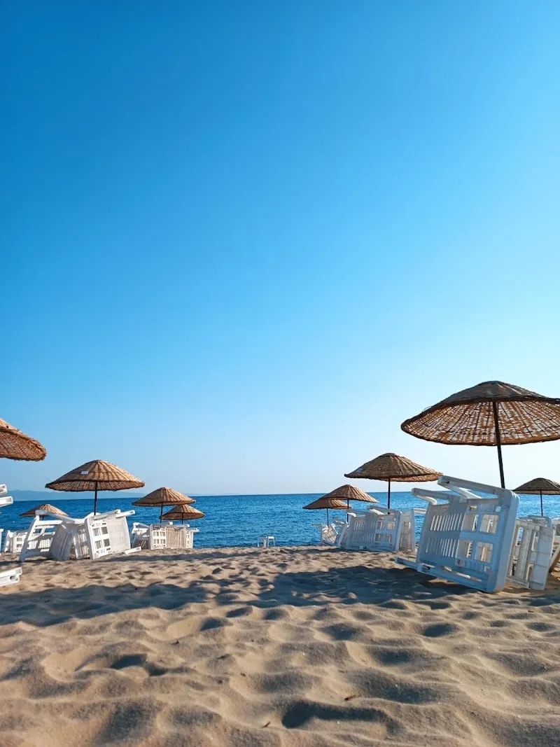 Mecidiye sahili Deniz Suyu Sıcaklığı