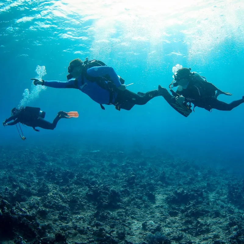 Meridian Adventure Dive and Watersports Club Deniz Suyu Sıcaklığı