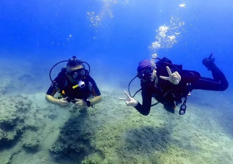 Mersin Dalış Merkezi Spor Kulübü Deniz Suyu Sıcaklığı