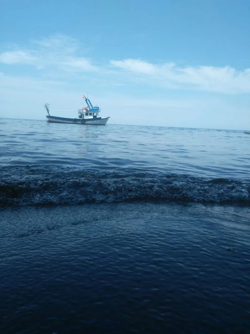 Ordu Kadınlar Plajı Deniz Suyu Sıcaklığı