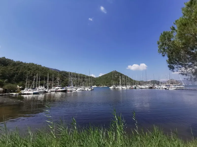 Palmiye Marina Deniz Suyu Sıcaklığı