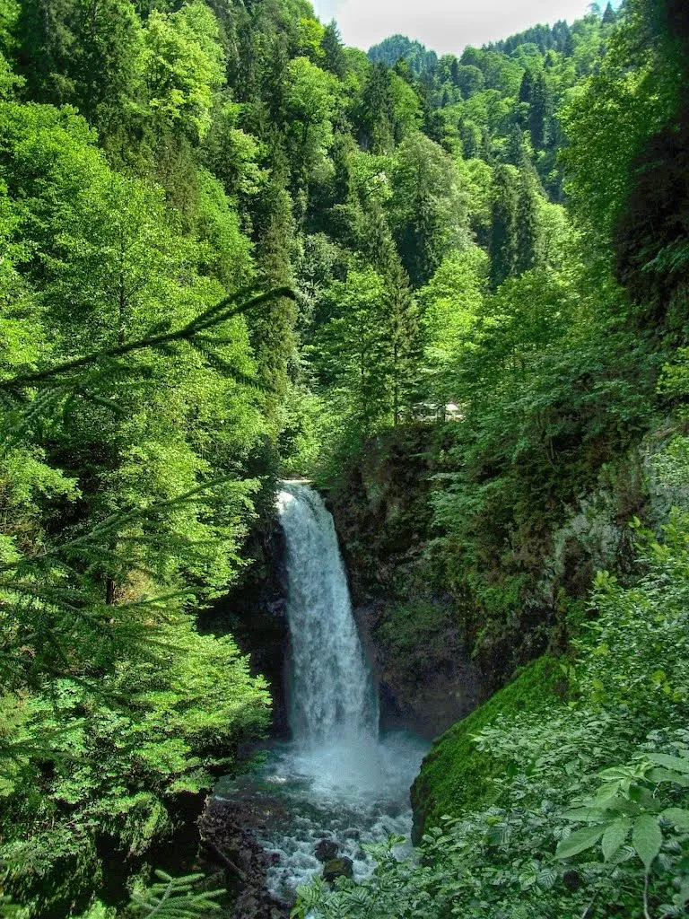 Palovit Şelalesi Deniz Suyu Sıcaklığı
