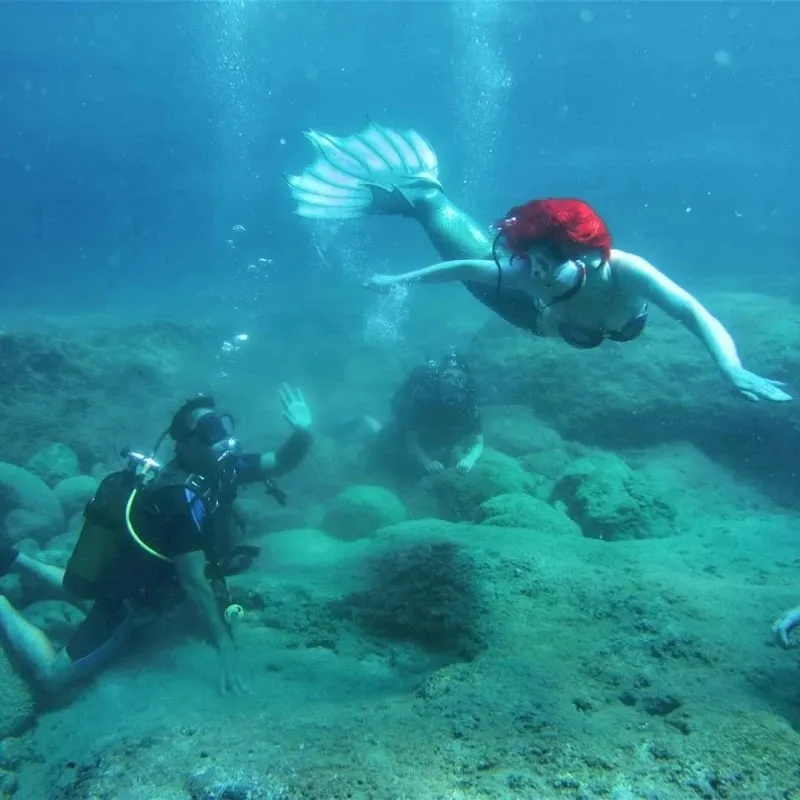 Pearl Diving Center | Since 1999 Deniz Suyu Sıcaklığı