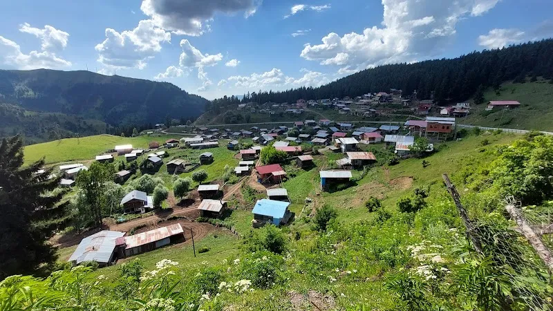 Sahara Yaylası Deniz Suyu Sıcaklığı