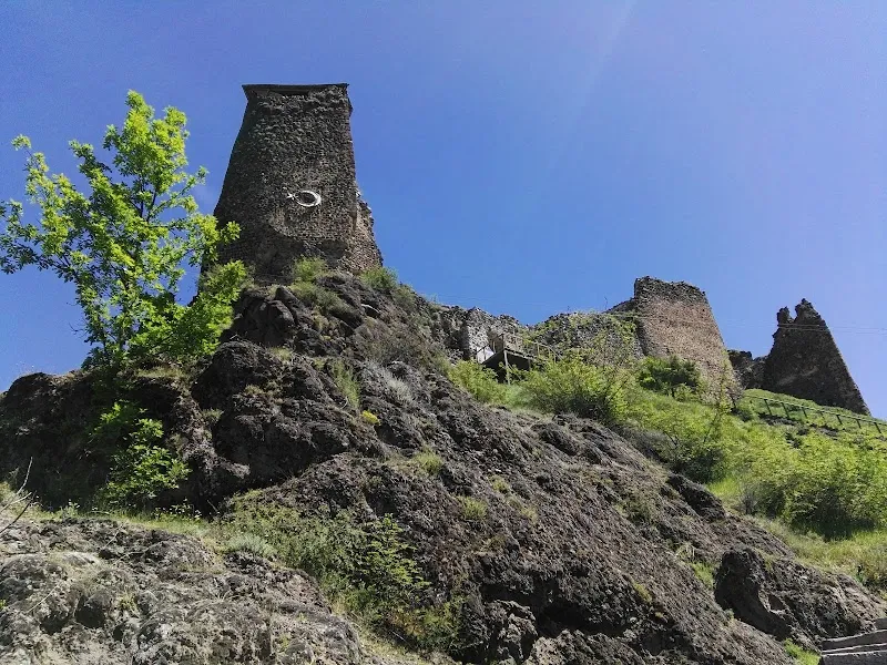 Şavşat Kale Deniz Suyu Sıcaklığı