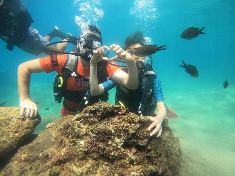 Sea Leon Diving Center -Antalya Deniz Suyu Sıcaklığı