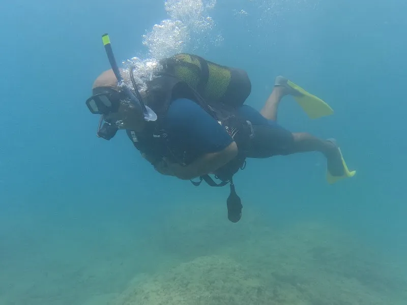 Star Diving Academy / PADI 5 Star Dive Center Deniz Suyu Sıcaklığı