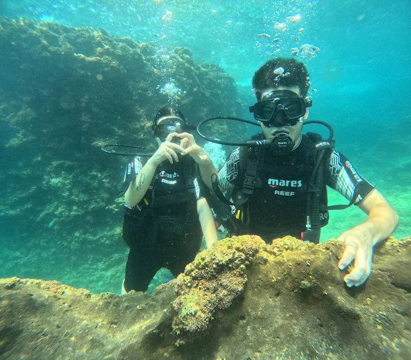 Stingray PADI Diving Center Deniz Suyu Sıcaklığı