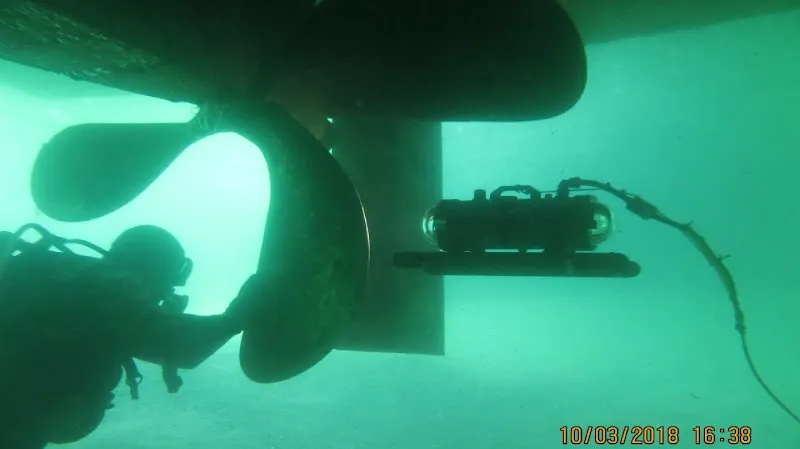 Su Dünyası Marine Deniz Suyu Sıcaklığı