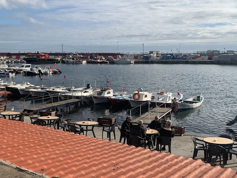 Tekirdağ Liman Deniz Suyu Sıcaklığı